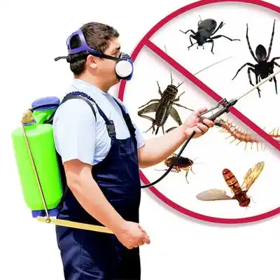 pest control East Spencer